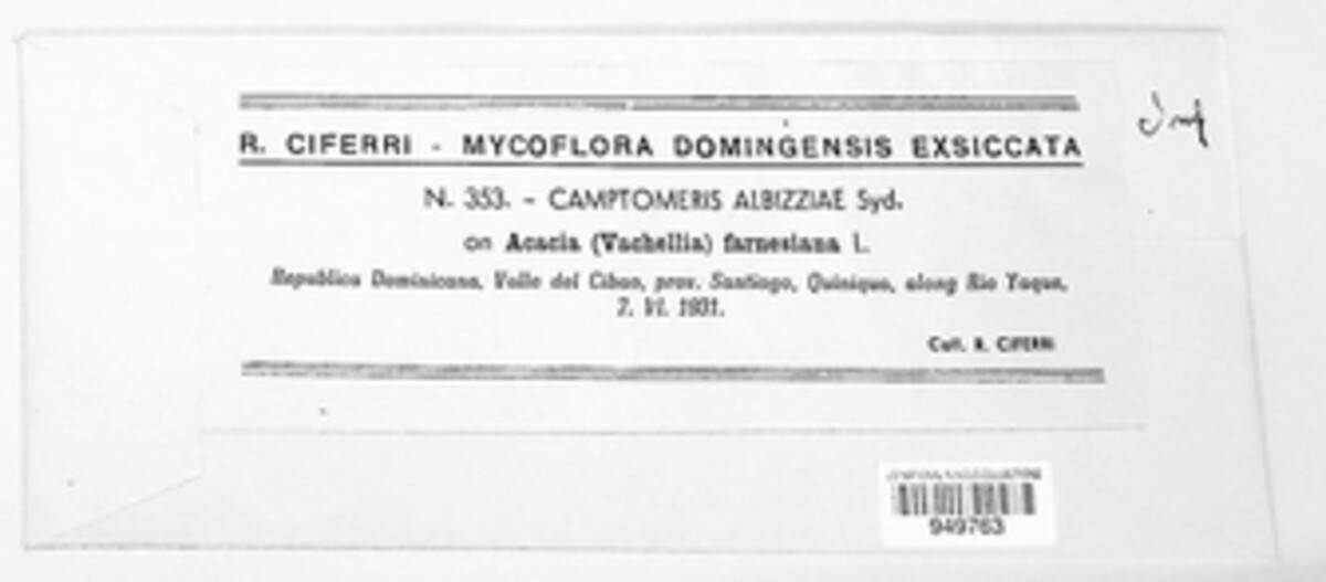 Helminthosporium albiziae image